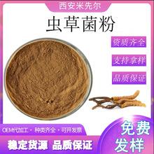 虫草菌粉 蝙蝠蛾拟青霉菌丝体粉 虫草多糖 冬虫夏草 蛹虫草提取物