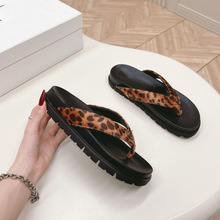 �� 2025�����¿�p�����ǘ�������ЬŮ�r�����eЬ��Ƥ�Aֺƽ����