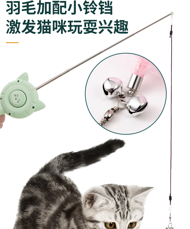 逗猫玩具