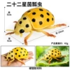 HFM hollow twenty-two star ladybug D3