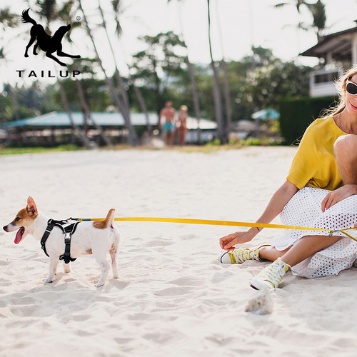 Cross-border nylon pet dog macaron chest and back leash for cats and dogs to go out pink blue and yellow multi-color rope chain wholesale