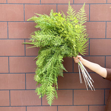 �\�Gɫϵ���� ��c���滨��Y�õ�픲廨·���b����ϼٻ����컨