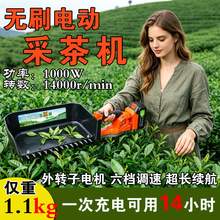 �����޼�������ˢ�綯�ɲ���賡�̻����ֲ�Ҷ�޼�����綯�����