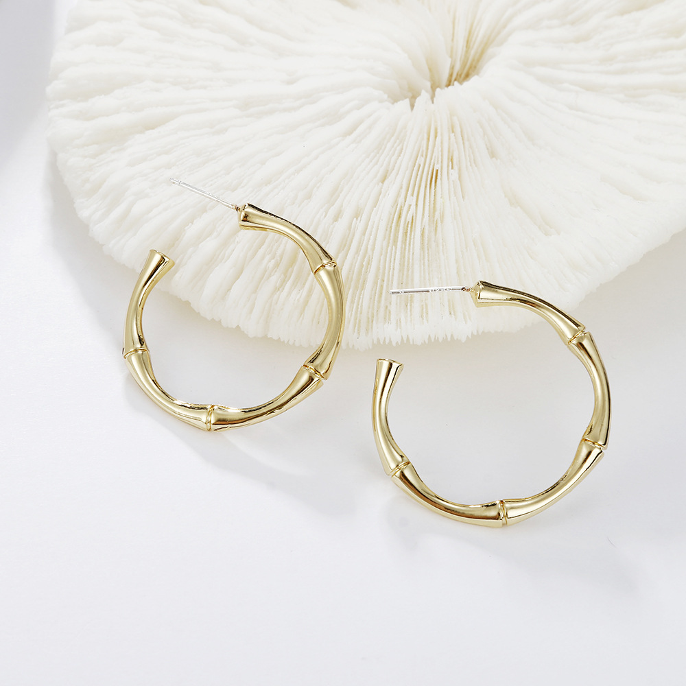 Irregular Twisted Simple Circular Metal Earrings Wholesale Jewelry Nihaojewelry display picture 9