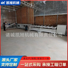 双通道猕猴桃柠檬全自动选果机 百香果人参果克重分级分果机器