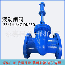 SֱҺlymBӸ߉ߜyTZ741-64CˮƷ