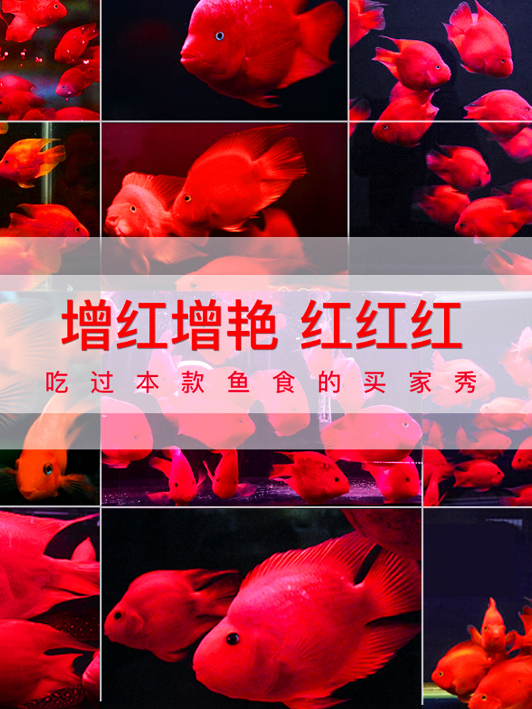 详情图