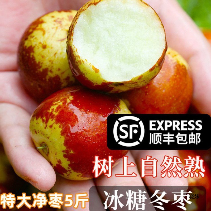 冬枣陕西大荔新鲜水果当季孕妇脆甜大红枣鲜枣冰糖枣子批发跨境