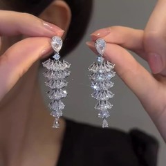 璀璨精致轻奢气质高级长款珠珠流苏耳环爆闪时尚设计感独特耳饰女