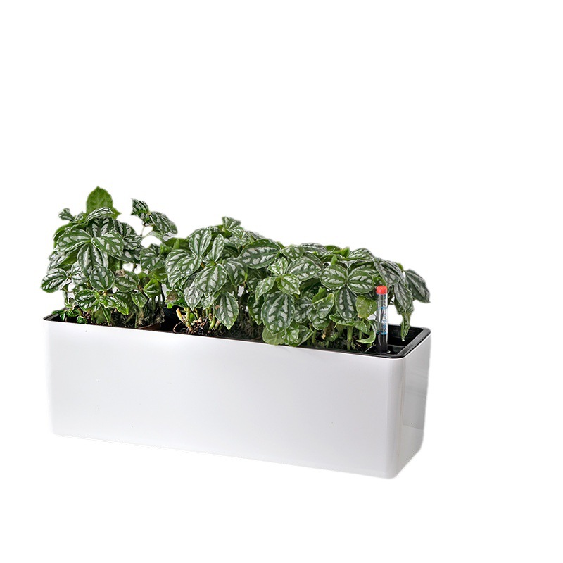 Maceta Autoabsorbente Rectangular de Gran Diámetro, para Balcón y Ventana, de Resina