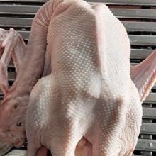 ���Ǫ{�^�Z���r�u�Z����ɢ�B�F�����rȫ�Z�Z��