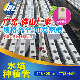 pvc方管水培管种植大棚农用水管花园塑料管无土栽培100x50定制