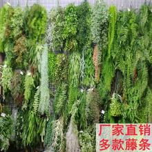 仿真植物墙多款藤条假绿植装饰森系吊挂店铺墙上造景绿色塑料花