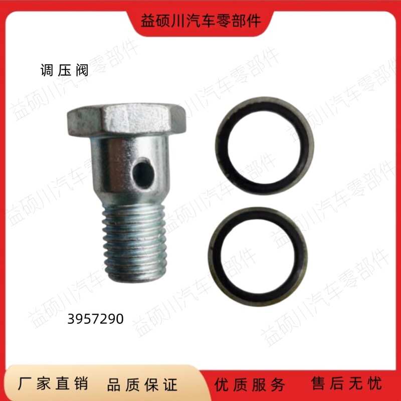 Used for Cummins Isl8.9 Engineering Machinery Engine Cylinder Head Oil Pipe Hollow Screw Check Valve 3957290