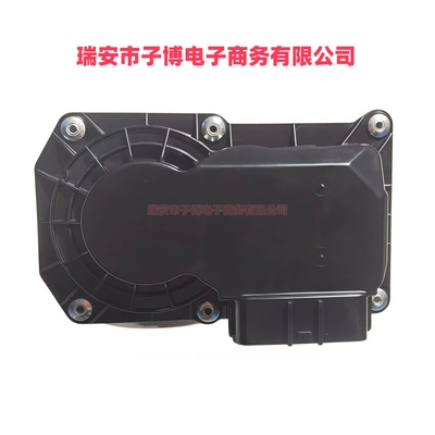 Toyota Electronic – Drossel
