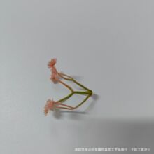 �S��ֱ�N���滨�������3��M���ǻ�����ٻ�ˇ�ֹ����h�b����