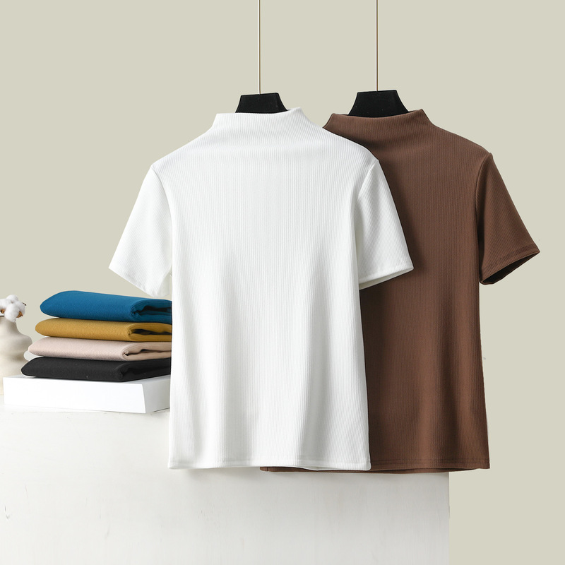 Short-sleeved women's double-sided velvet super popular de Velvet 2023 new style inner and outer wear T-shirt high collar slim autumn top bottoming