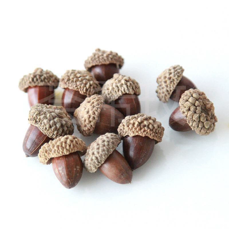 DIY Фруктовая ракушка древесный элемент лист dried Flowerfruit Комбинация Рождество Установлено Детский сад Украшение винтажное предложение