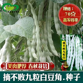 蔬菜种子;其他园林资材