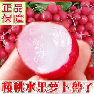 ����С�}���N�������}�������ļ��̨���������׷N�߲�ˮ���}����