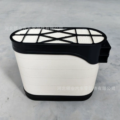Air Filter P608675 Air filter
