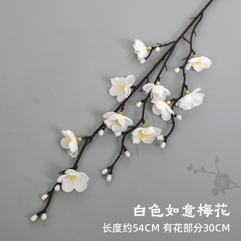 흰색 여의 매화