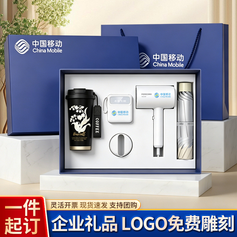 Business Gift Set Feike Borui Hair Dryer Souvenir Custom Logo Event Gift Practical Customer Gift