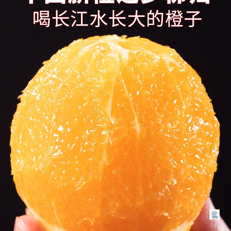 正宗纯甜纽荷尔脐橙子新鲜水果非江西赣州赣南5/9斤当季大果爆汁