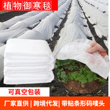 ���ƿ羳�o����ֲ����������̺�@�ֹ��߷���̺��ѩ���ؼӺ������