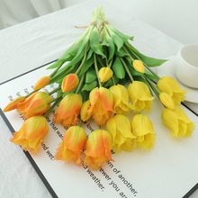 5ָ֦ܛzW^㻨ٻҾӻcb[߼з滨