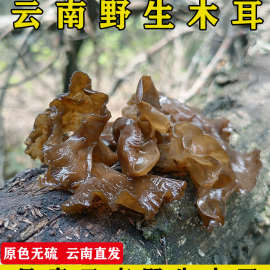 云南野生木耳干货装袋黑木耳菌100g包邮无硫特产非东北黑木耳