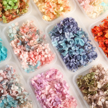 干花永生花绣球渐变色手工diy材料包贴脸婚鞋玻璃罩团建活动花艺