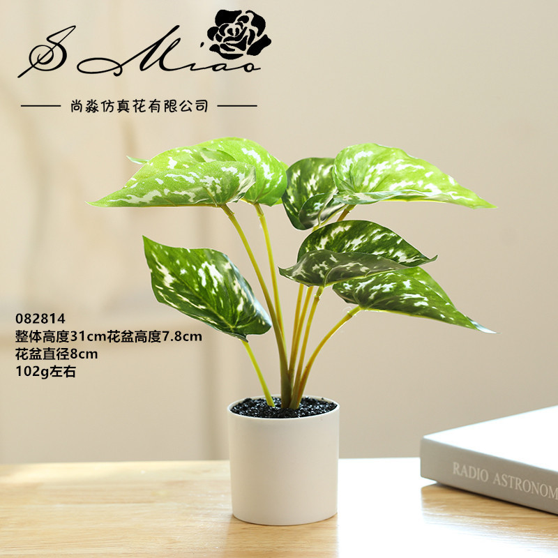 082814 plantas verdes en maceta ☆