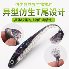 �pɫ����ܛ�D·��tβ5g2g�|�~�N���Z�~����~�[�y�~�D·���D