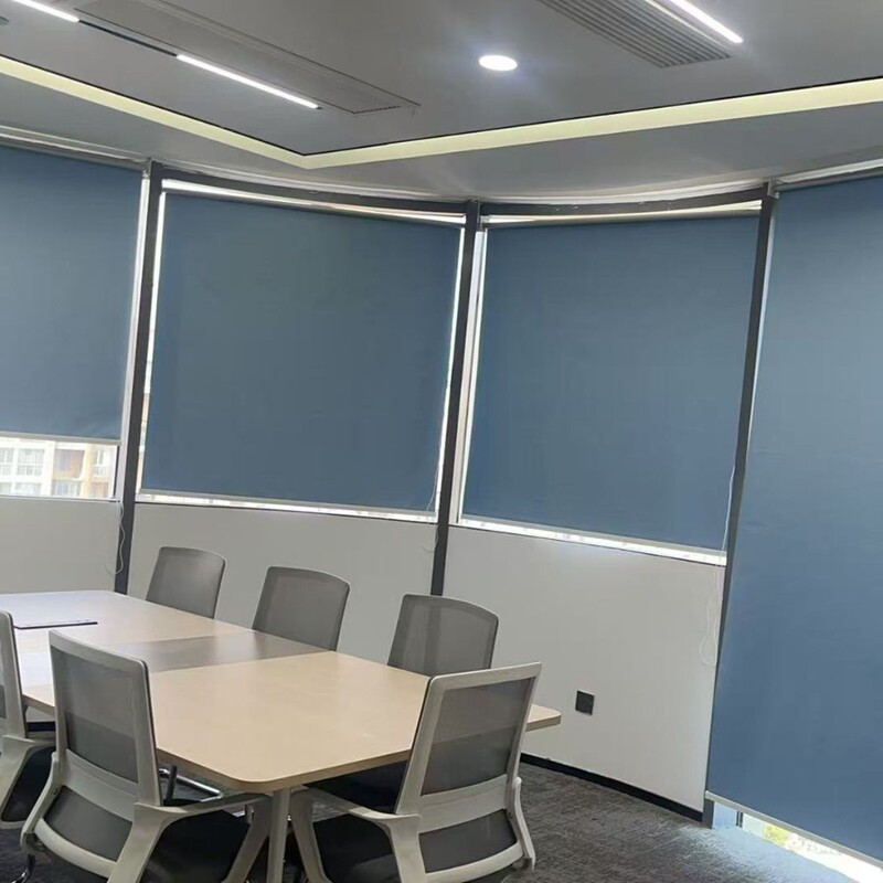 Silver-Coated Blackout Sunshade, Heat-Insulating, Waterproof Office and Bathroom Roller Blinds, Hand-Pull Curtains, No Drilling Required Silver-Coated Blackout Sunshade, Heat-Insulating, Waterproof Office and Bathroom Roller Blinds, Hand-Pull Curtains, No Drilling Required