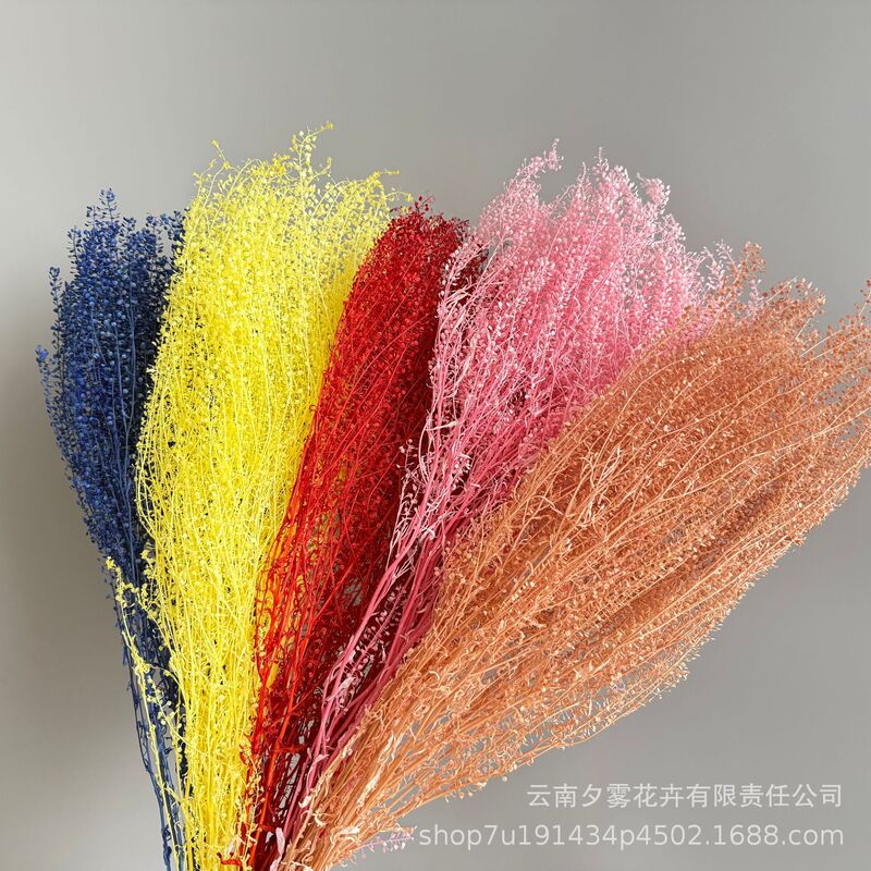 Green Spirit Grass Mini Green Fan Green Grass DIY Flower Material Preserved Flowers Bouquet Home Decor Wholesale Manufacturer