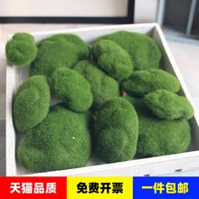 假苔藓人造青苔石头苔藓石头绿色摆放拍摄道具盆景造景花摆件