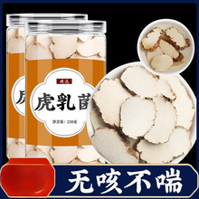 虎乳菌止正品咳汤虎奶菌粉虎奶菇小儿煮水非野生虎乳灵芝虎乳菌片