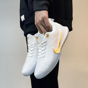 ��������ЬAJ�Ʊȶ����@��Ь�е͎͌����\��ЬKobe��Ь�����;���