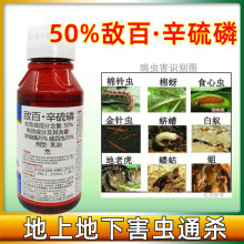 50%敌百辛硫磷敌百虫乳油果树蔬菜蚜虫地下害虫土壤杀虫剂全杀