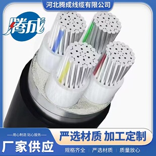 �Xо��|YJLV4о16 25 35 50 70 95ƽ�����������ľ��X��|