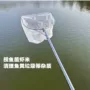 清洁超细捞鱼泡沫鱼池
