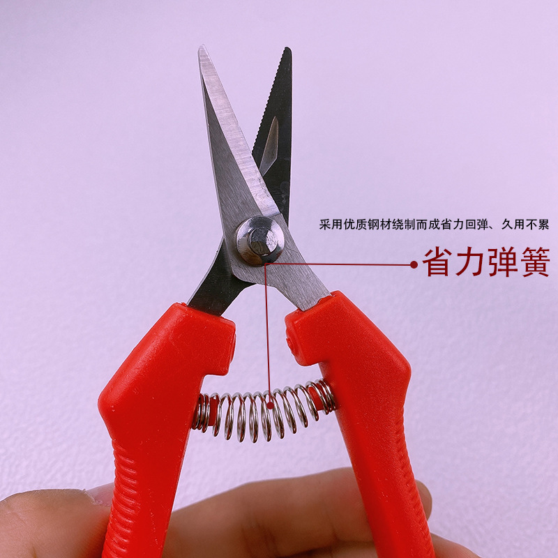 Yangjiang árboles frutales tijeras de corte de ramas de acero inoxidable tijeras de jardinería casera cortar ramas de árboles cortar naranja extraña naranja especial