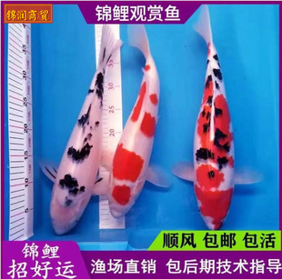 �\�����~���w�\���t����ɫ�����Ѻ���ˮ�~��ˮ�~�����^�p�~