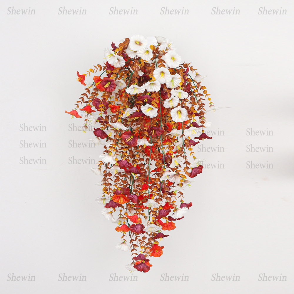 DS2094-1主图3.jpg