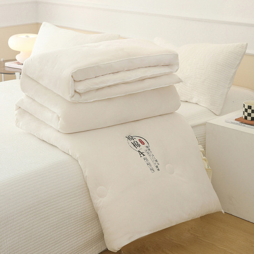 Japanese imported cross-border Japanese cotton soybean baby-grade antibacterial autumn and winter quilt core thickening warm quilt