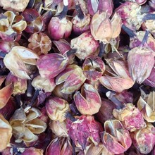 �����Ȼõ����о��ԭ�ϸɻ�õ�嚤���������b����յ��߶���