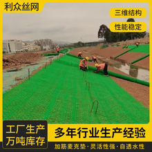 三维加筋麦克垫 边坡固土防护网 绿化工程植被网 生态护坡修复网
