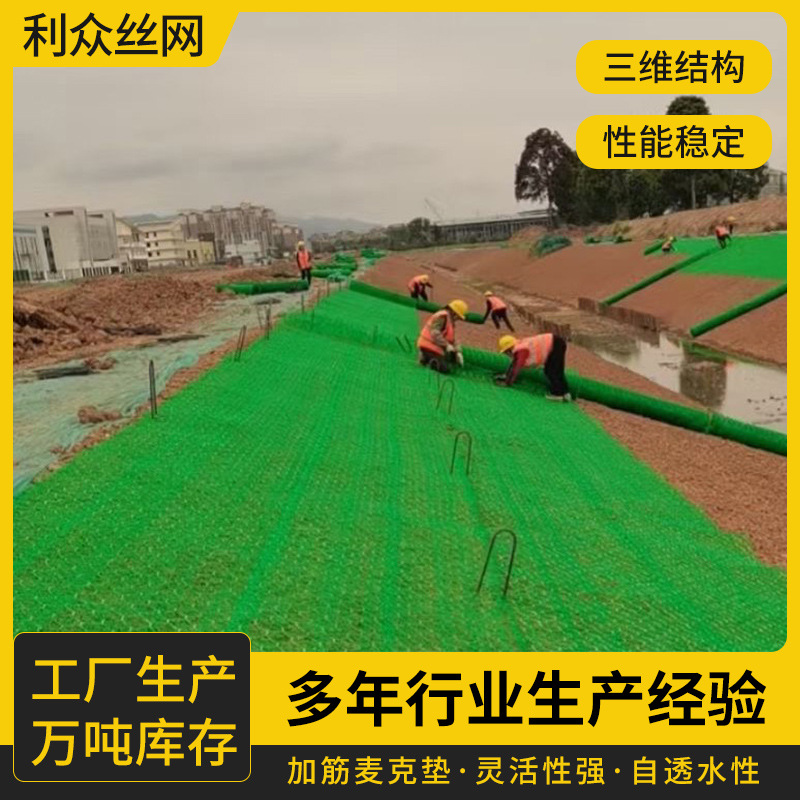 三维加筋麦克垫 边坡固土防护网 绿化工程植被网 生态护坡修复网