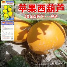 �O���S�������J�N��ˮ�����ļ��Sɫˮ�������J���׷N�߲˷N�Ӵ�ȫ